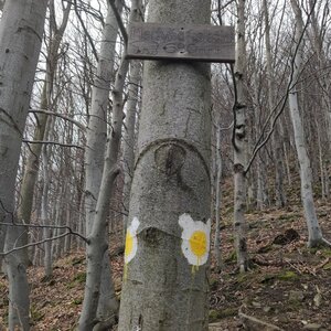 Satinské vodopády, Medvědí skála