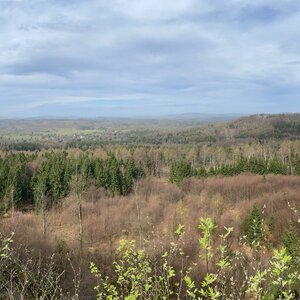 Morning Hike