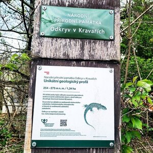 Opavská pahorkatina