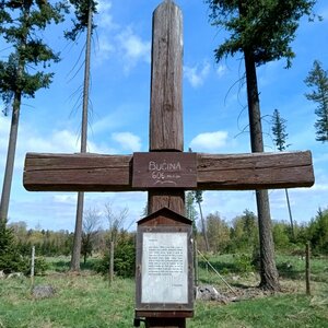 Bučina