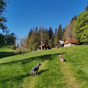 Kyčera přes Malý Čistý ze Starých Hamrů