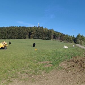 Rosička, Rozštípená skála, Na Nivách, 