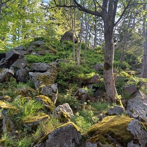 Čeladná, Smrček, Buč.vdp, Ostravice