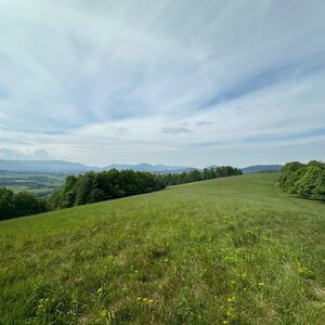  Nový Jičín - Kozlovická hůrka +Metylovická -Žermanice 