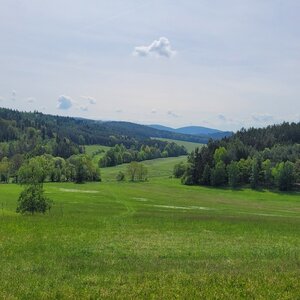 Staňkov