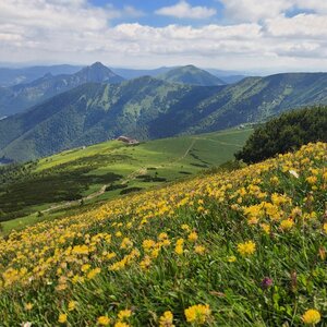 Malá Fatra: Velký Kriváň, Baraniarky
