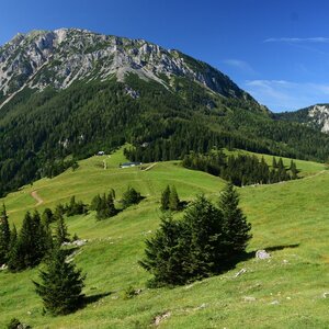 Alpy-Schneeberg