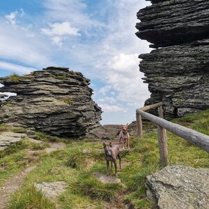 32VJ * Vozka přes Troják z Červenohorského sedla