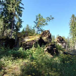 Ochsenkopf 823