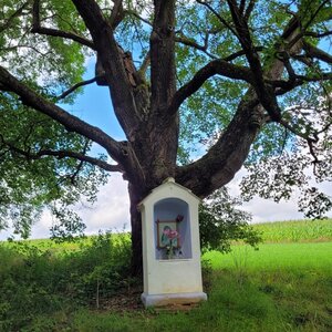 Černovice - Pacov