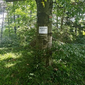 Zawoja Hiking