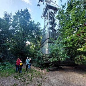 Balt - Rowokól
