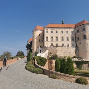 Děvín přes Sirotčí hrádek z Mikulova