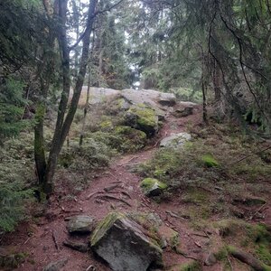 Mladkov - Jablonné nad Orlicí
