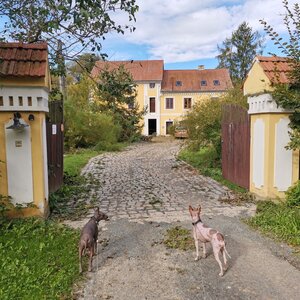 Liščí přes Bartošovický kopec ze Studénky