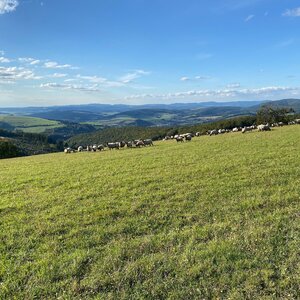 Stráně-Javorník-Komonec