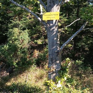 2024-10-01 10:27 - Sopotnia Wielka > Pilsko > Rysianka