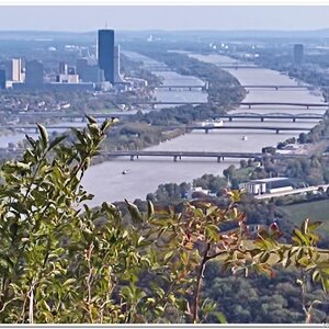 12.10.2024 toulání ve Vídeňském lese