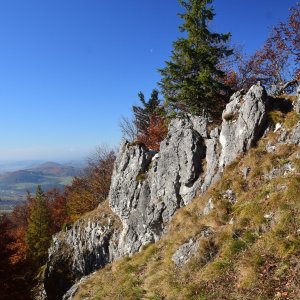 Sokolie