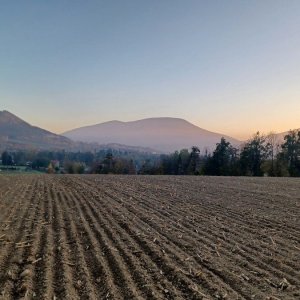 Řehákovy kopce