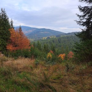 Čeladná - Staré Hamry, Samčanka