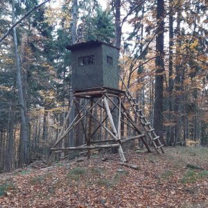 Bílá - okolí 1 (Nejhory Besdkyd)
