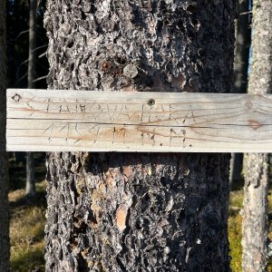 Kvildská Divočina ????