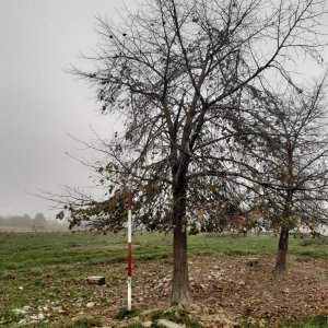 Pržno - okolí