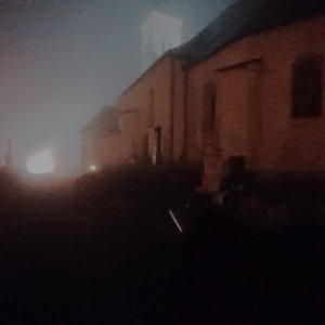 Borové
