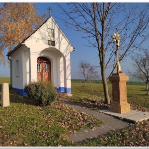 10.11.2024 na ultrakopec Myšince - Vlčnov