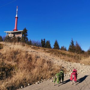 Svatomartinská Lysá (5) ze Zlatníku