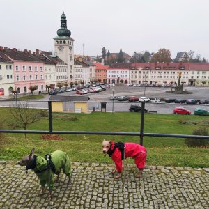 Mlýnský kopec přes Fulnek z Tošovic