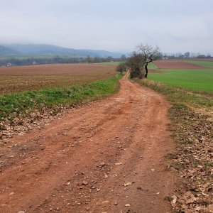Letovice