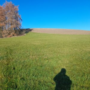 Letohrad - Dolní Dobrouč