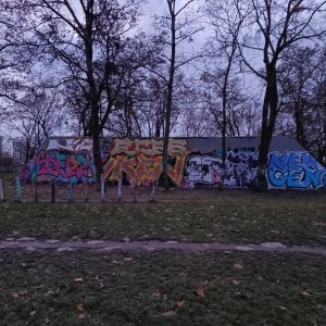 Morning Walk