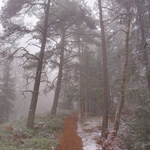 Horní Adršpach, Skalky (1)