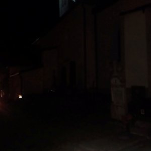Borové