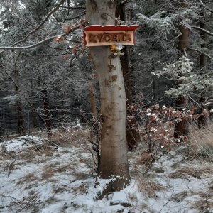 Kykulka, Kyčera