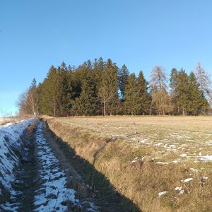 Zítkův kopec
