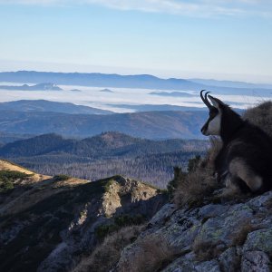 Kasprovy Wierch, Kondratova kopa, Wielki Giewont