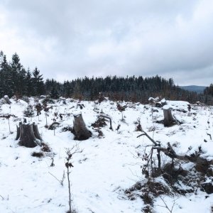 Výlet 3. 1. 2025
