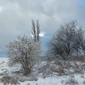 Dlouhý kopec