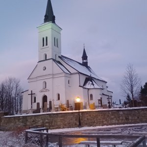 3 Borové