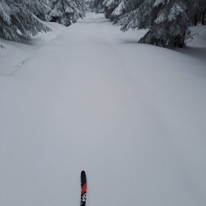 Nej back country Orličky