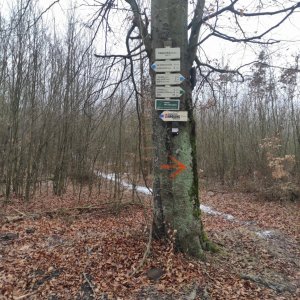 Trnůvka