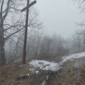Tišnov