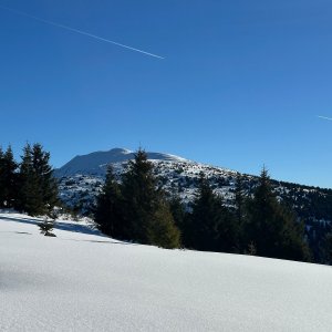 Babia hora