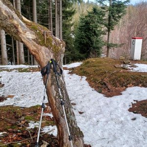 Řepové&