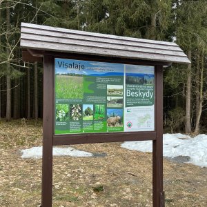 Visalaje
