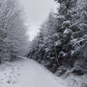 Mionší-Čerchla-Sošovy-Velký Stožek-Loučka